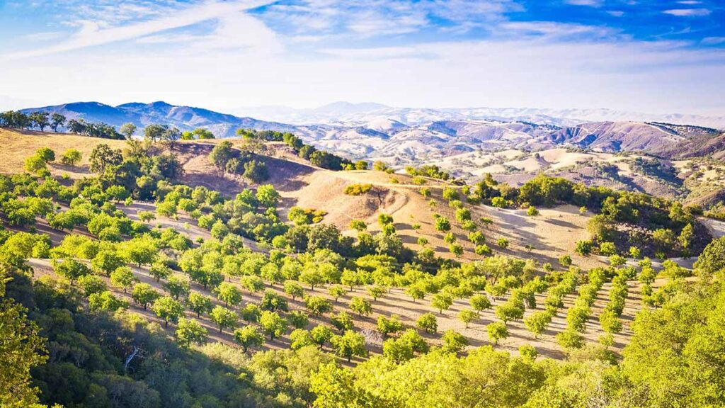 Paso Robles Wine Country in Southern California