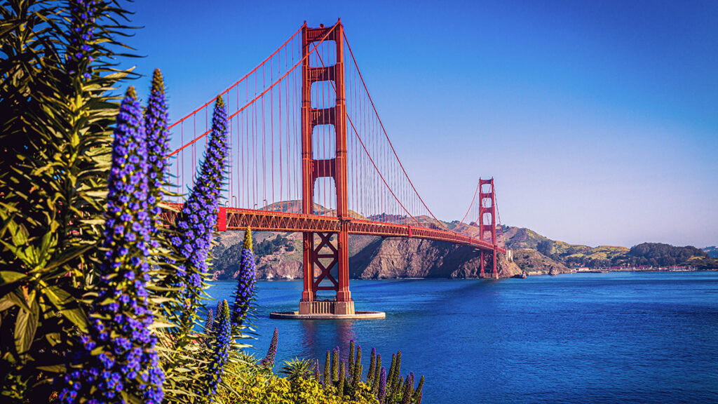 Golden Gate Bridge - San Francisco - California - Geovea