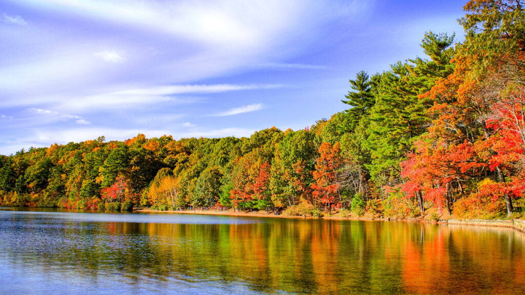 Walden Pond, Concord, MA, USA - GEOVEA