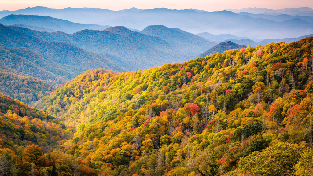 Newfound Pass, Great Smoky Mountains National Park, Tennessee, USA - GEOVEA